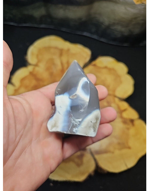 Load image into Gallery viewer, 2Pcs Natural Orca Agate Killer Whale Carnelian Crystal Flame Point Healing