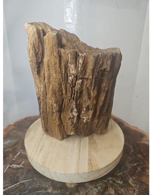 Load image into Gallery viewer, ❤️‍🔥Texas Petrified Wood! Raw Cool Details W/Stand Great Display
