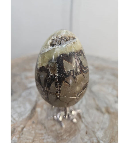 7.8oz Natural Septarian Dragon quartz Crystal egg Mineral Specimen W/Stand