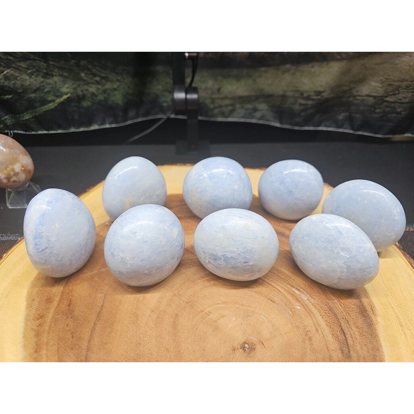 1lb 2pcs Natural Baby Blue Celestite Quartz Crystal Palm Stone Decoration