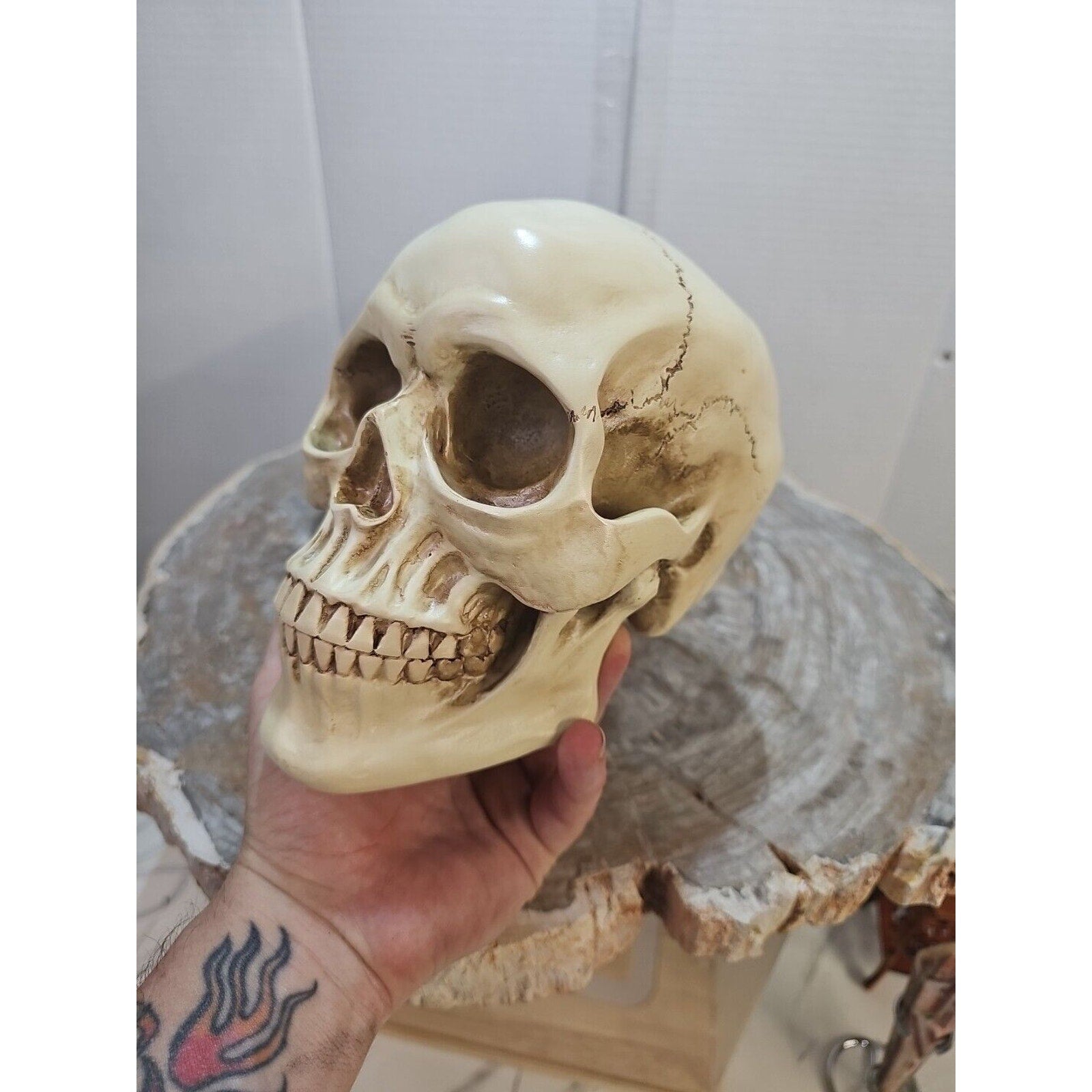 Realistic Human Skull Replica Decor Decoration Resin