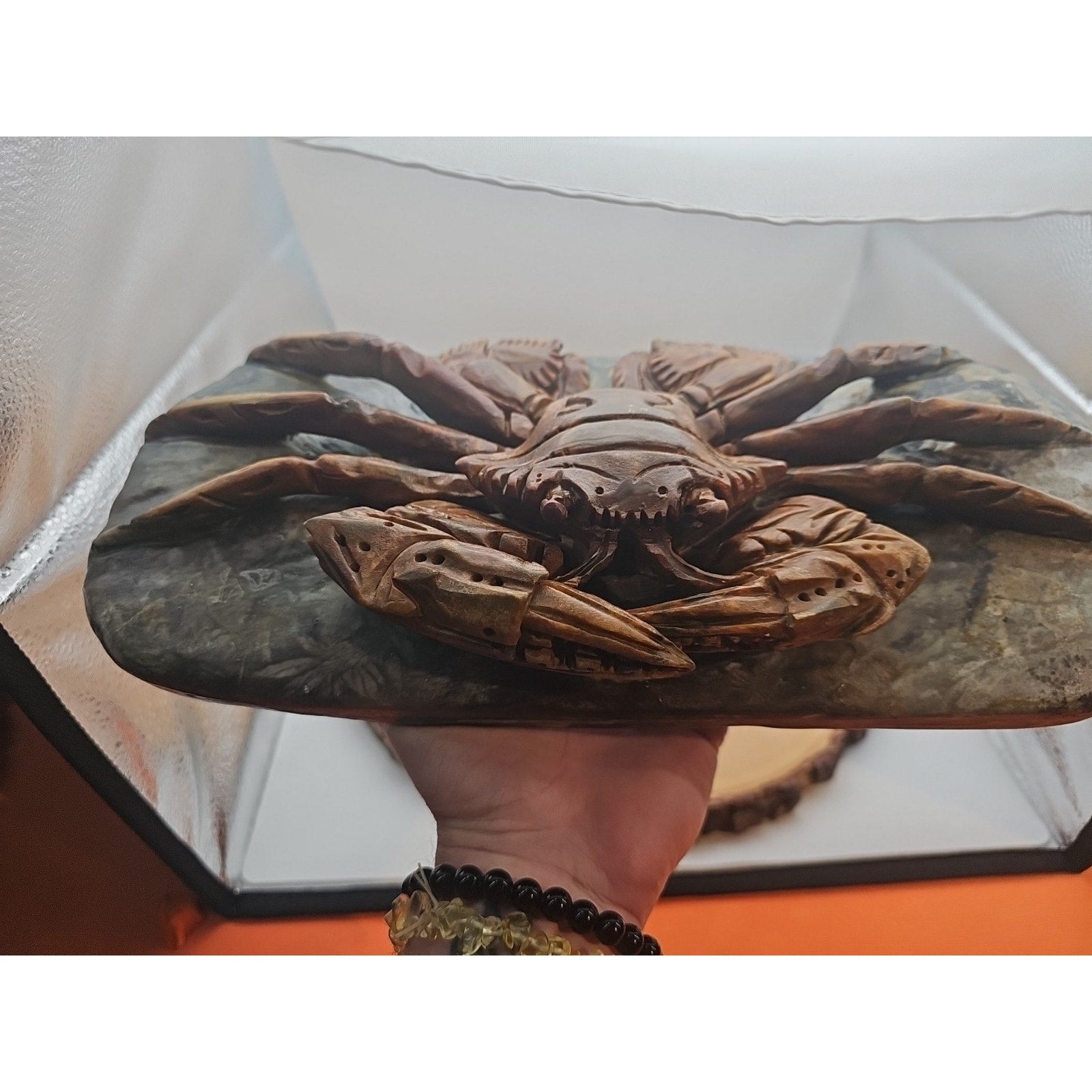 7.4LB Natural Mao Gong shi crab skull hand carved crystal specimen healing