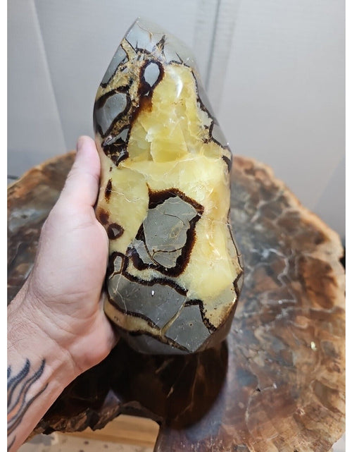 Load image into Gallery viewer, 4.84LBNatural Dragon Septarian Geodetic Survey Quartz Crystal torch Healing2200g
