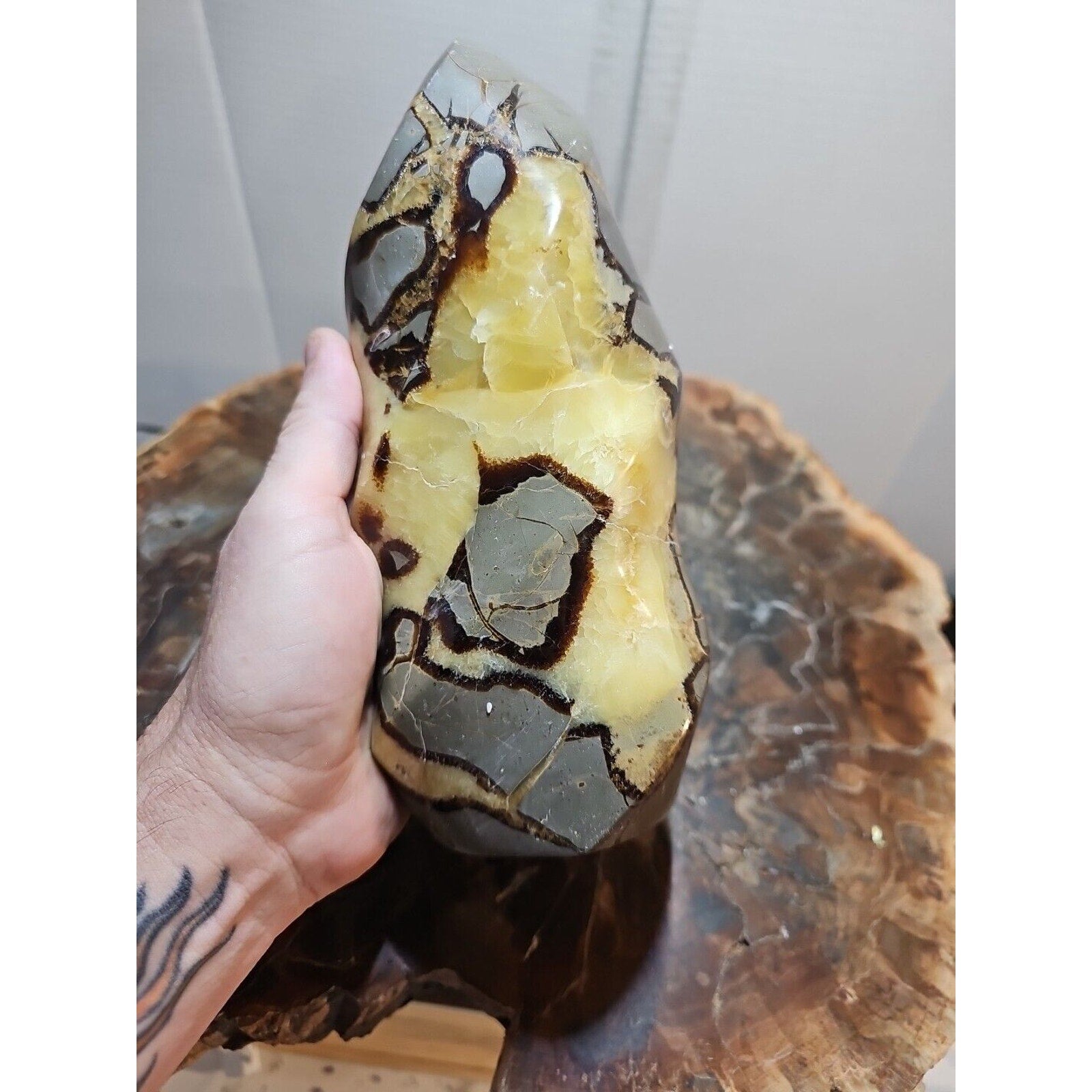 4.84LBNatural Dragon Septarian Geodetic Survey Quartz Crystal torch Healing2200g