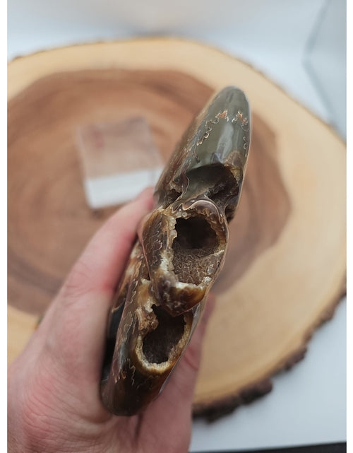 Load image into Gallery viewer, 1.32LB Rare! Natural Tentacle Ammonite Fossil Specimen Shell Madagascar

