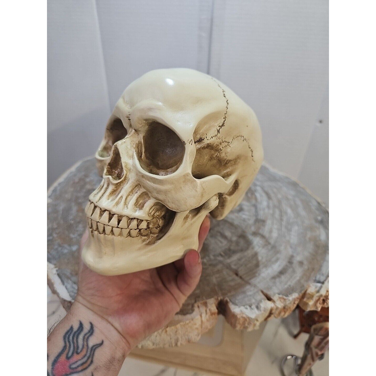 Realistic Human Skull Replica Decor Decoration Resin