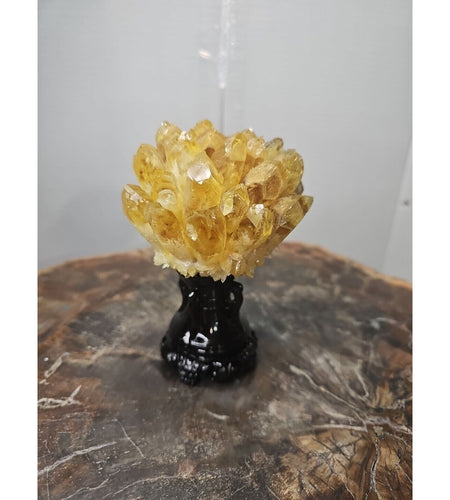 1.12LB Yellow Phantom Quartz Crystal Cluster Mineral Specimen W/Stand