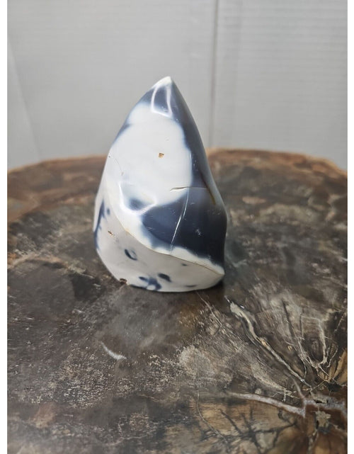 Load image into Gallery viewer, Jasper Ocean Whale Stone 332g
