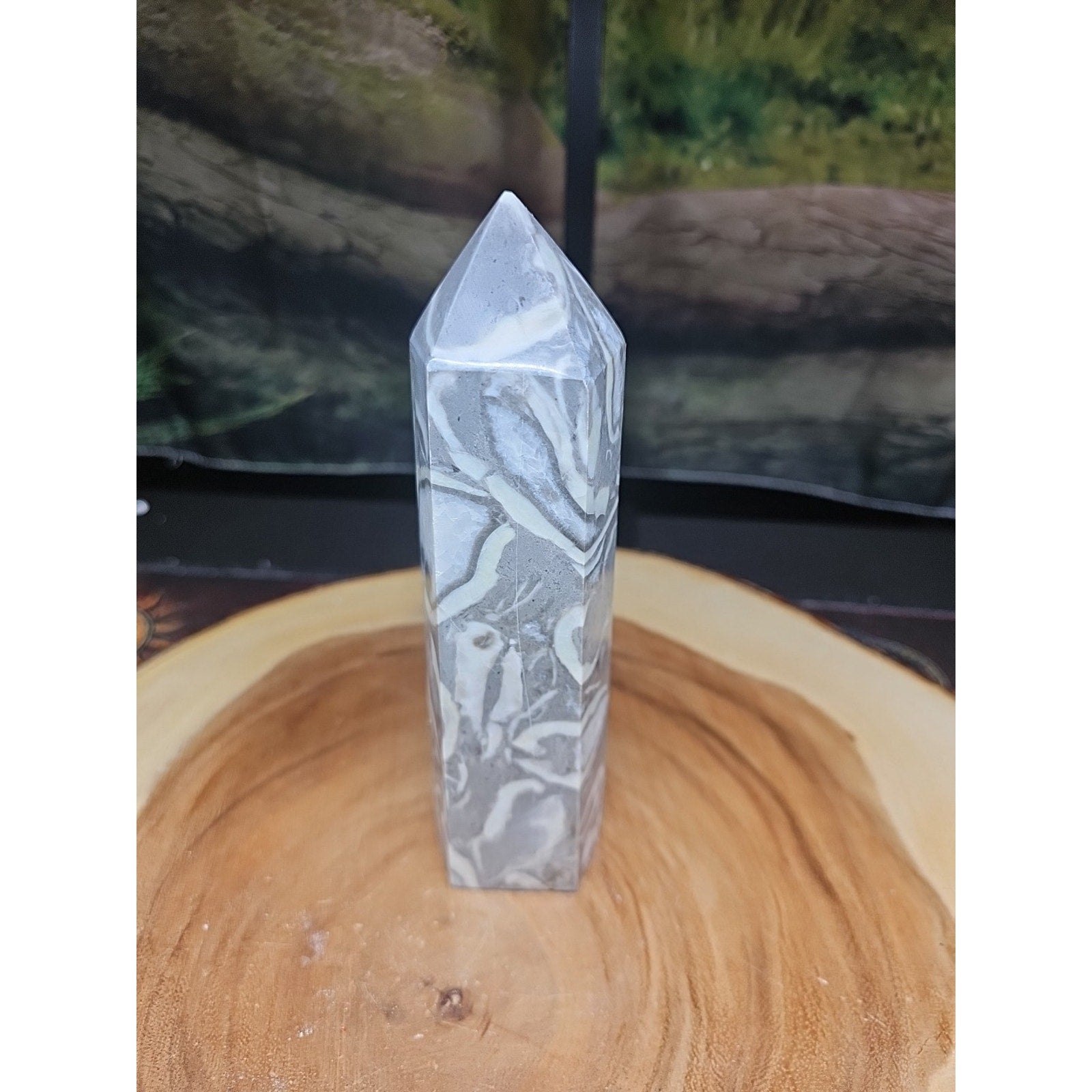 1000 Eye Jasper 1.76lb 7.5in Tall