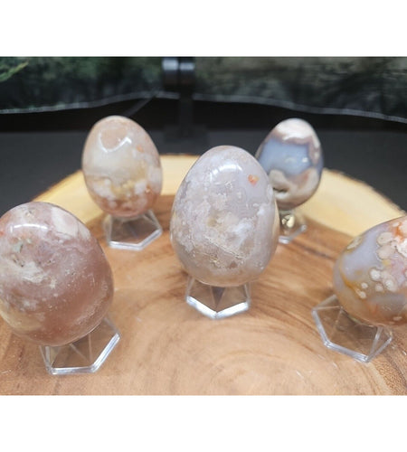 1lb 2pcs Natural Phantom Flower Carnelian Agate Crystal Geode Egg Carved Healing