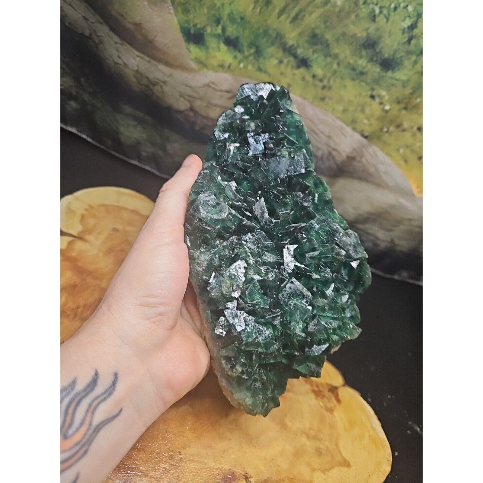 3.2lb NATURAL Green FLUORITE Quartz Crystal Cluster Mineral Specimen