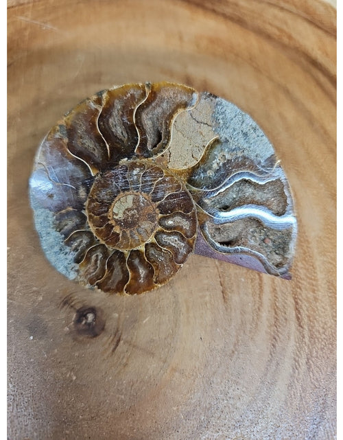 Load image into Gallery viewer, Ammonite Fossil Small 52g

