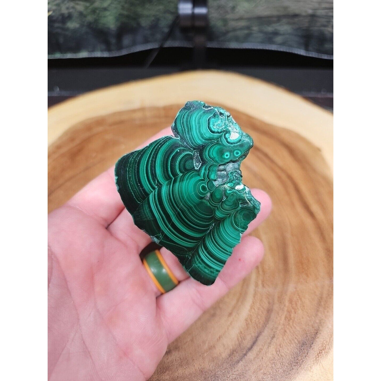 malachite Slice 4oz