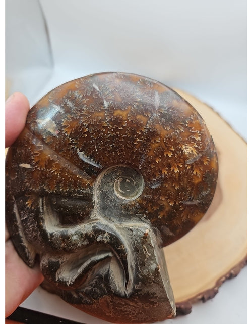 Load image into Gallery viewer, 1.82LB Rare! Natural Tentacle Ammonite FossilSpecimen Shell Healing Madagascar
