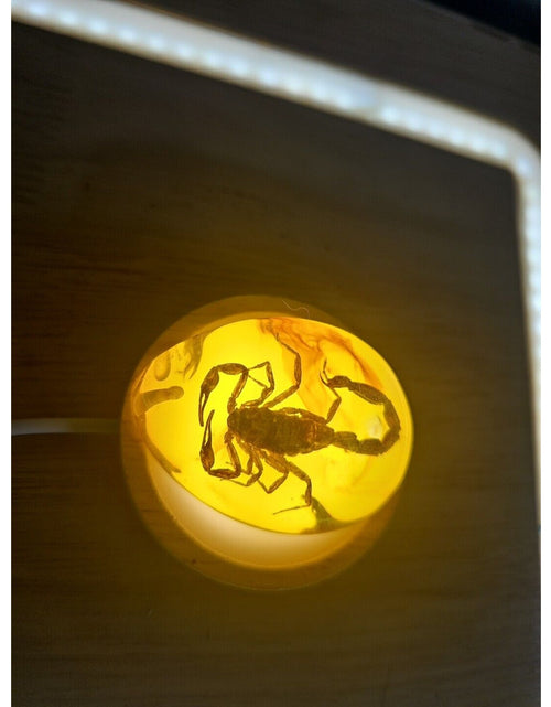 Load image into Gallery viewer, 1 Ea Beautiful Amber Scorpions Fossil Manual Polishing Lucky Ornament
