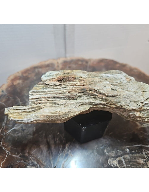 Load image into Gallery viewer, 1.06lbs Texas Petrified Wood Rough
