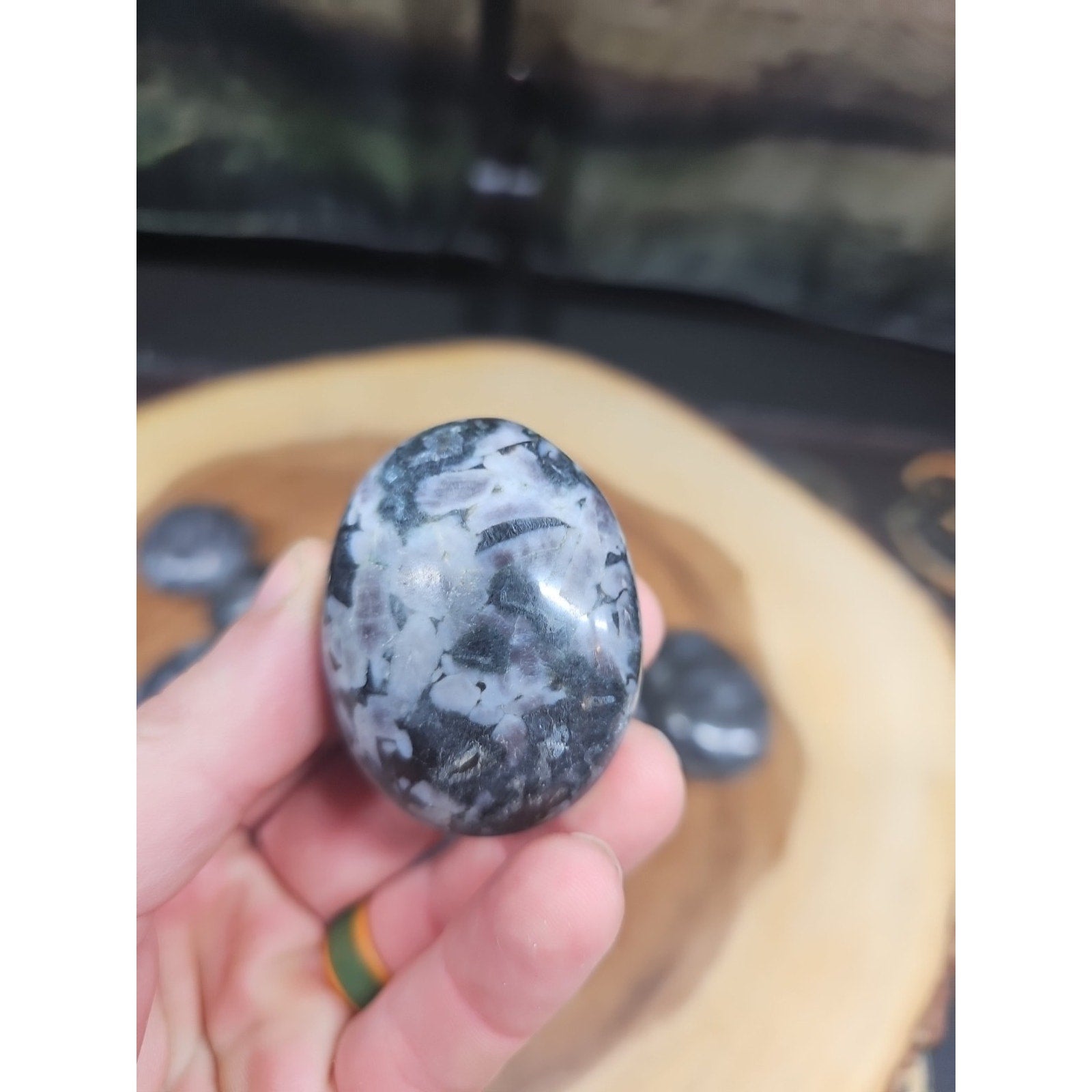 5Pcs Natural Polychrome Merlinite Gabbro Crystal Palm Stone