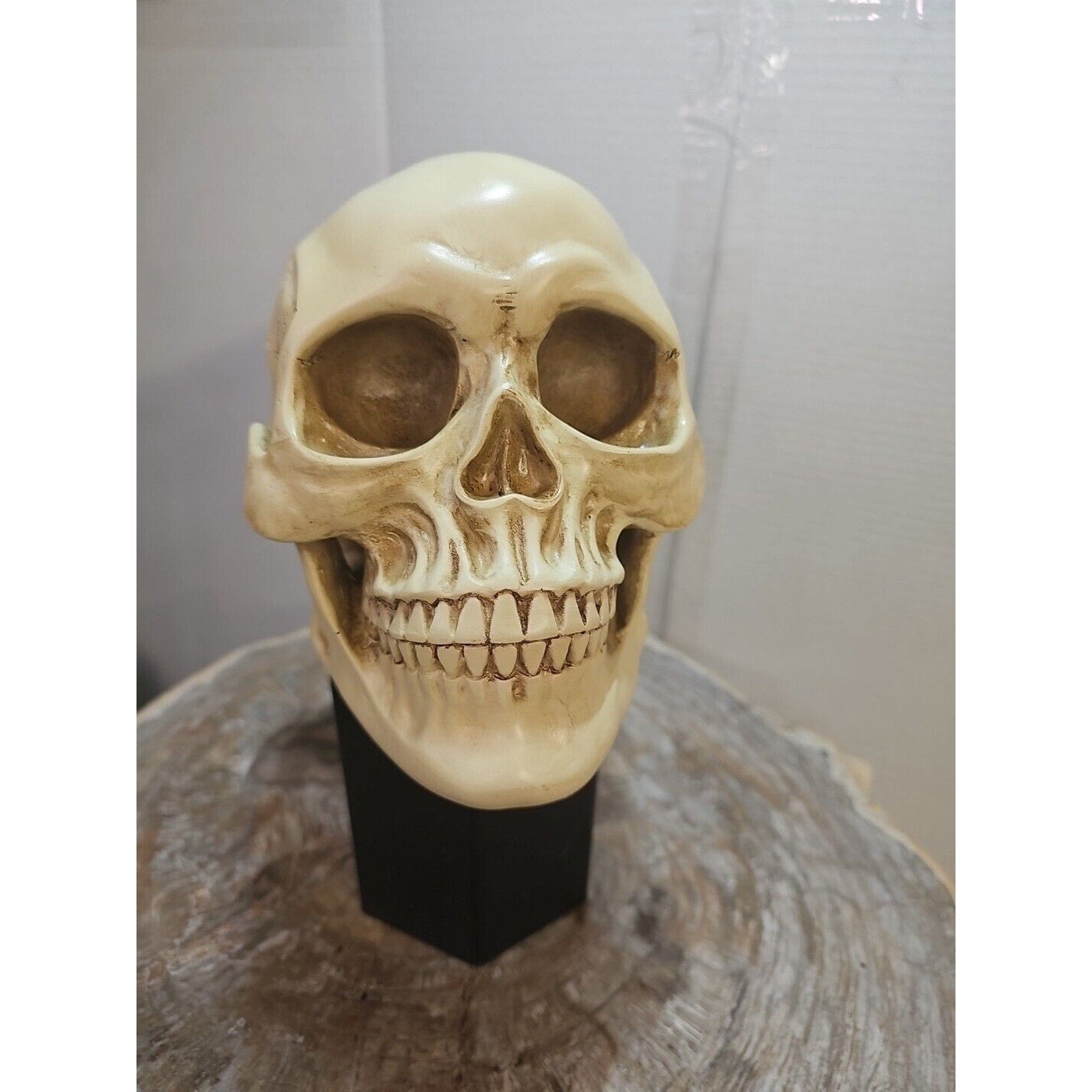 Realistic Human Skull Replica Decor Decoration Resin