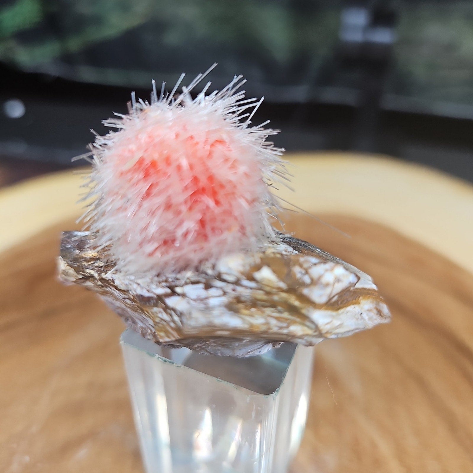 Zeolite crystal
