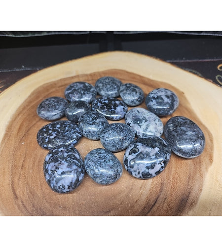 5Pcs Natural Polychrome Merlinite Gabbro Crystal Palm Stone