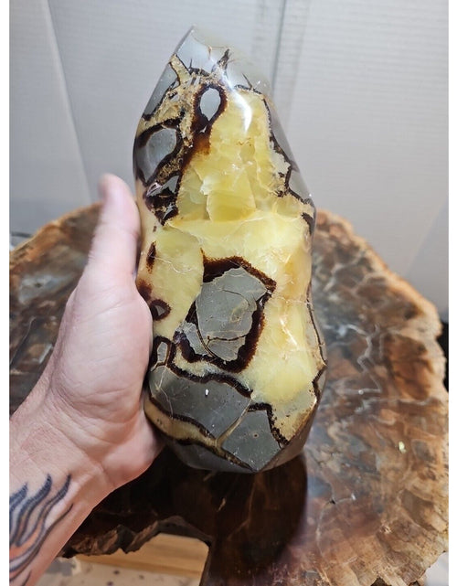 Load image into Gallery viewer, 4.84LBNatural Dragon Septarian Geodetic Survey Quartz Crystal torch Healing2200g
