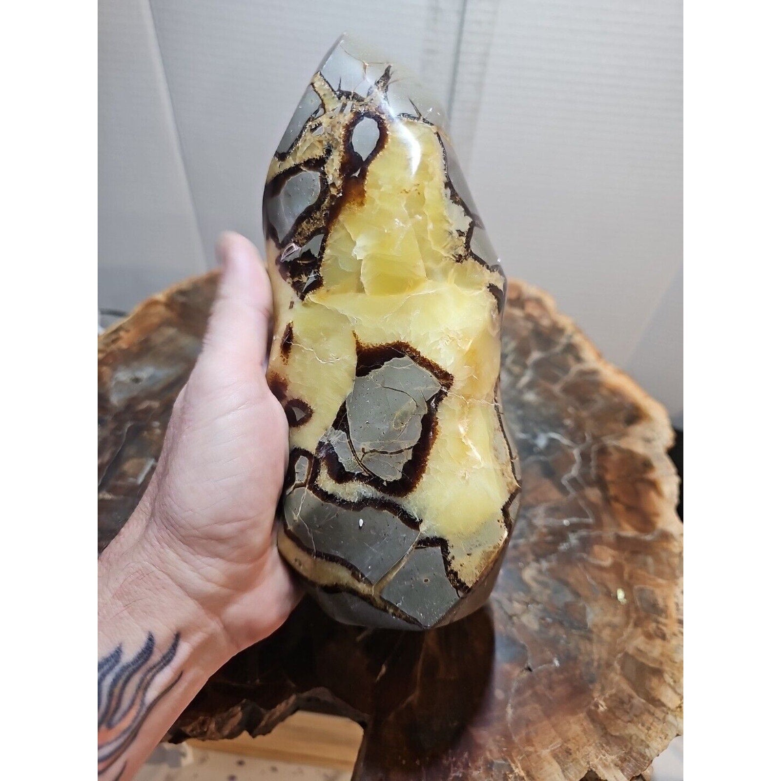 4.84LBNatural Dragon Septarian Geodetic Survey Quartz Crystal torch Healing2200g