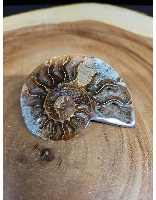 Load image into Gallery viewer, Ammonite Fossil Small 52g
