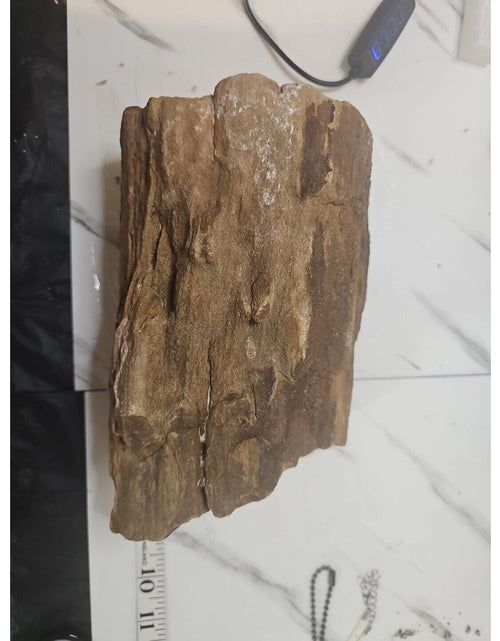 Load image into Gallery viewer, ❤️‍🔥Texas Petrified Wood! Raw Cool Details W/Stand Great Display
