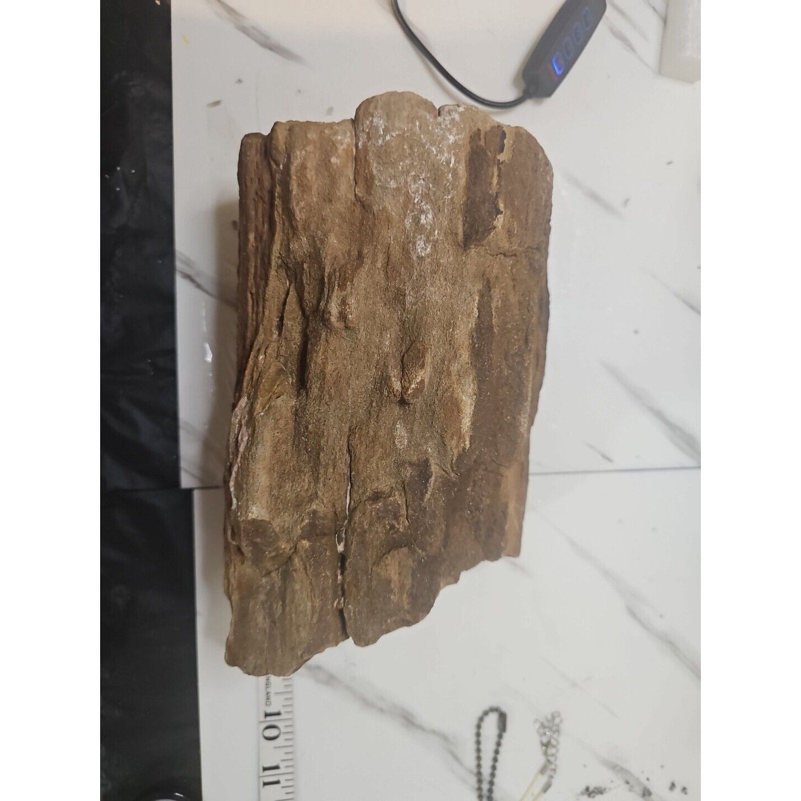 ❤️‍🔥Texas Petrified Wood! Raw Cool Details W/Stand Great Display