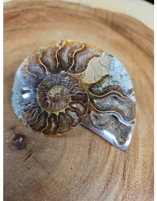 Load image into Gallery viewer, Ammonite Fossil Small 52g
