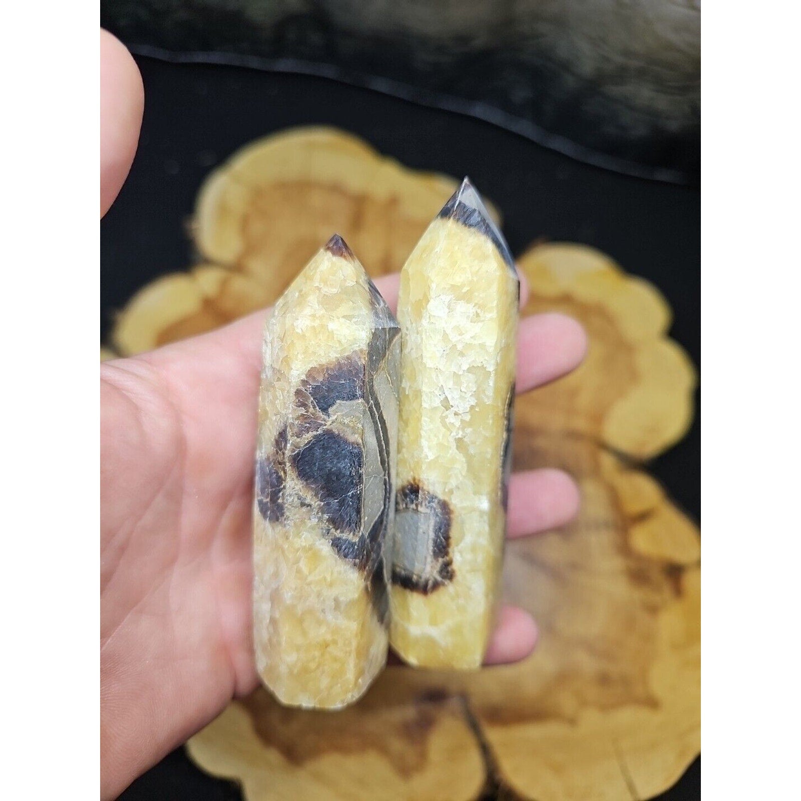 .59LB 2Pcs Natural Dragon Septarian Geode Quartz Cluster Crystal Point Healing