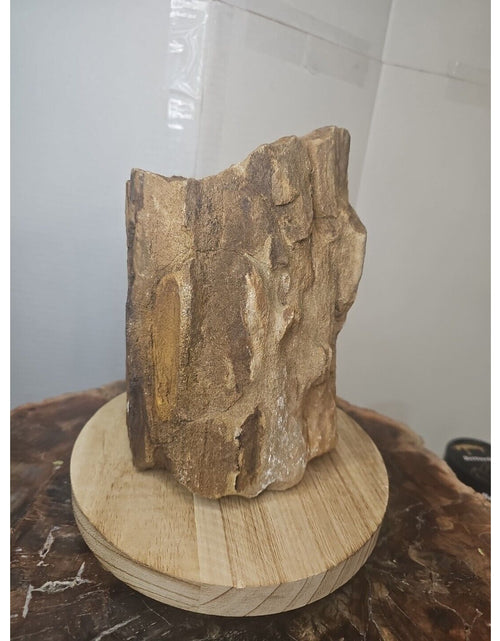 Load image into Gallery viewer, ❤️‍🔥Texas Petrified Wood! Raw Cool Details W/Stand Great Display
