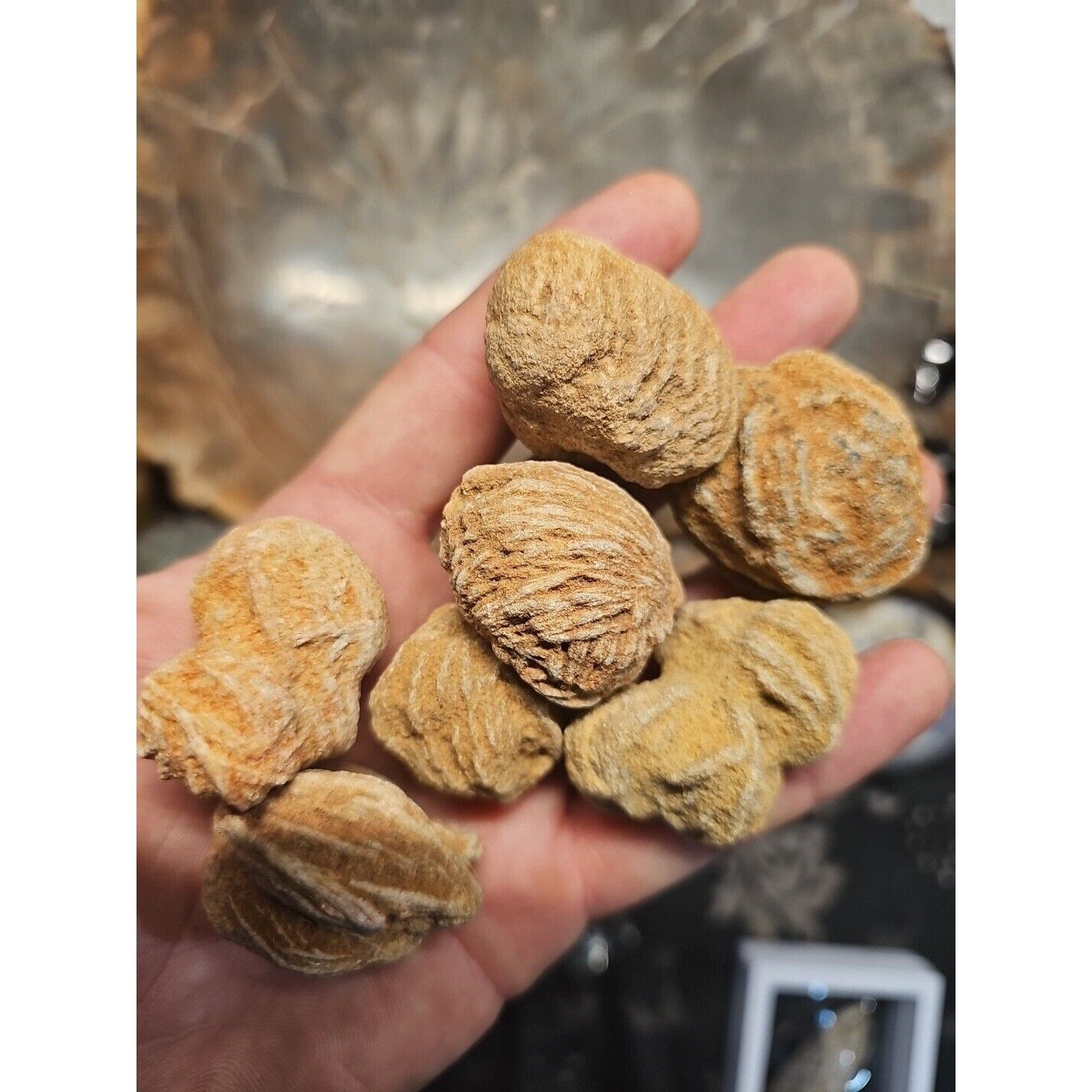 Desert Rose Stones