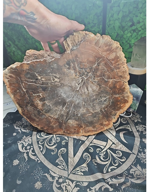 Load image into Gallery viewer, 27.3LB TOP Natural fossil wood Quartz carved Crystal mineral Specimen healing
