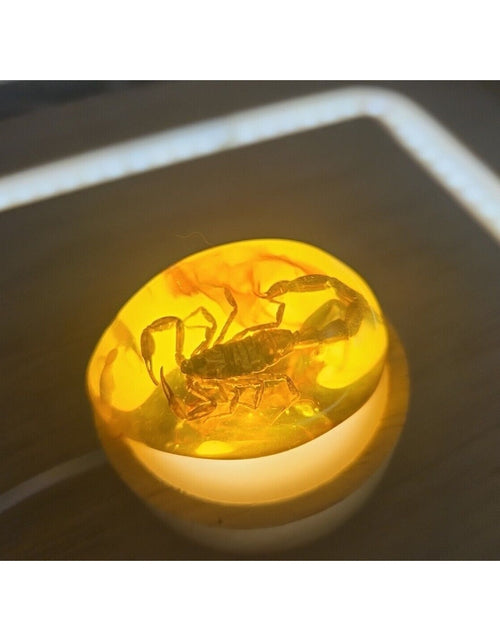 Load image into Gallery viewer, 1 Ea Beautiful Amber Scorpions Fossil Manual Polishing Lucky Ornament
