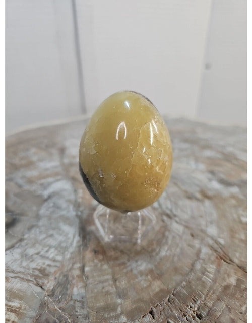 Load image into Gallery viewer, 9.0oz Natural Septarian Dragon quartz Crystal egg Mineral Specimen W/Stand
