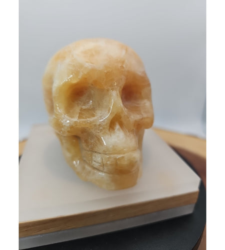 .89lb Natural Jasper Calcite Skulls Crystal Carving Mixed Stones Healing