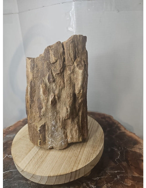 Load image into Gallery viewer, ❤️‍🔥Texas Petrified Wood! Raw Cool Details W/Stand Great Display
