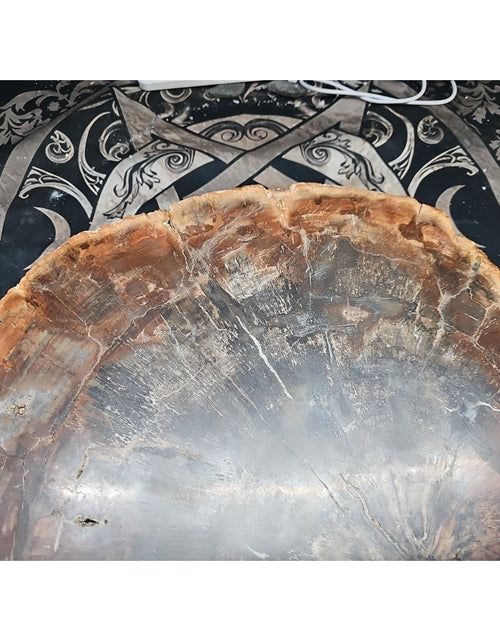 Load image into Gallery viewer, 27.3LB TOP Natural fossil wood Quartz carved Crystal mineral Specimen healing
