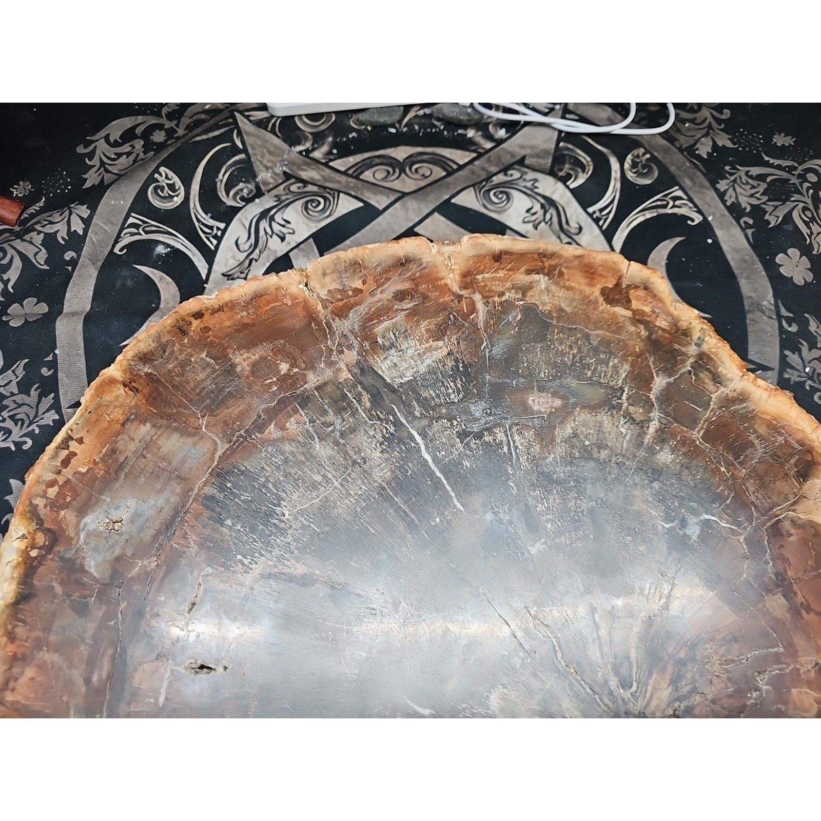 27.3LB TOP Natural fossil wood Quartz carved Crystal mineral Specimen healing