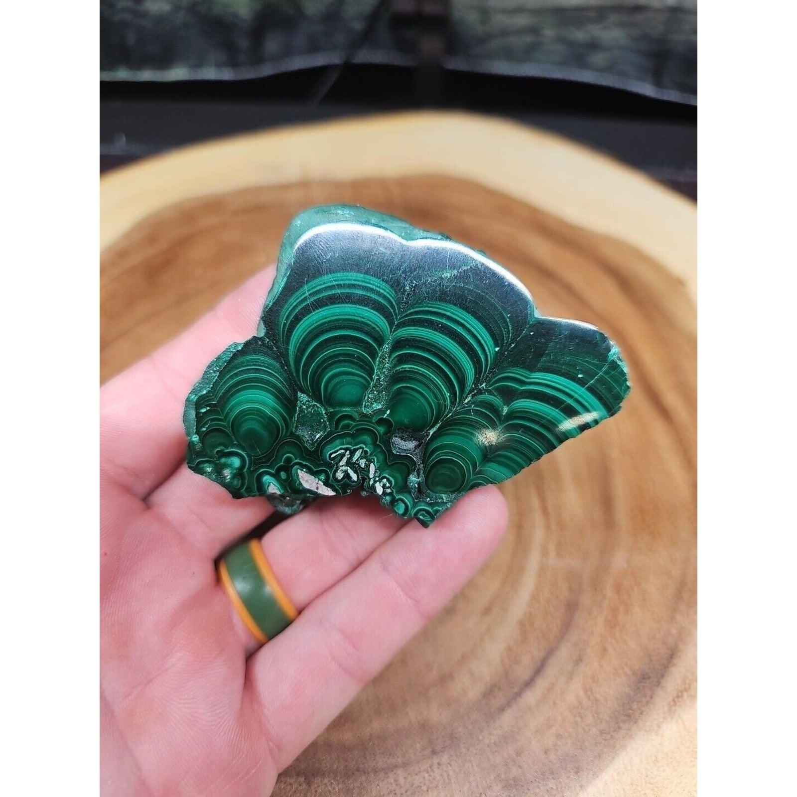 malachite Slice 4oz