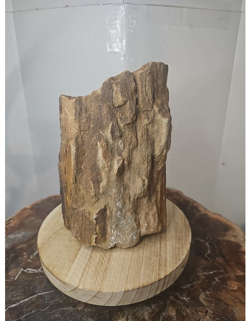 Load image into Gallery viewer, ❤️‍🔥Texas Petrified Wood! Raw Cool Details W/Stand Great Display
