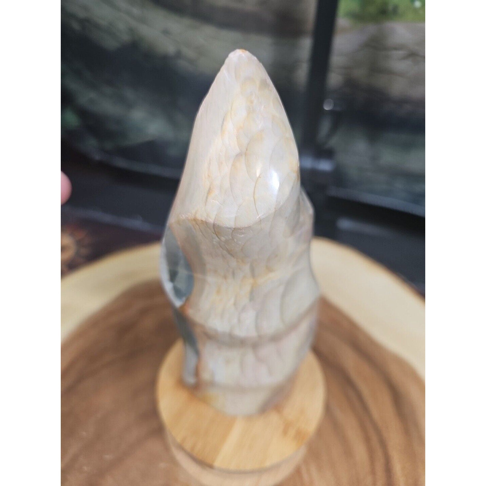 1.20LB 1Pcs Natural Polychrome Ocean Jasper Crystal Flame Point Carved Healing