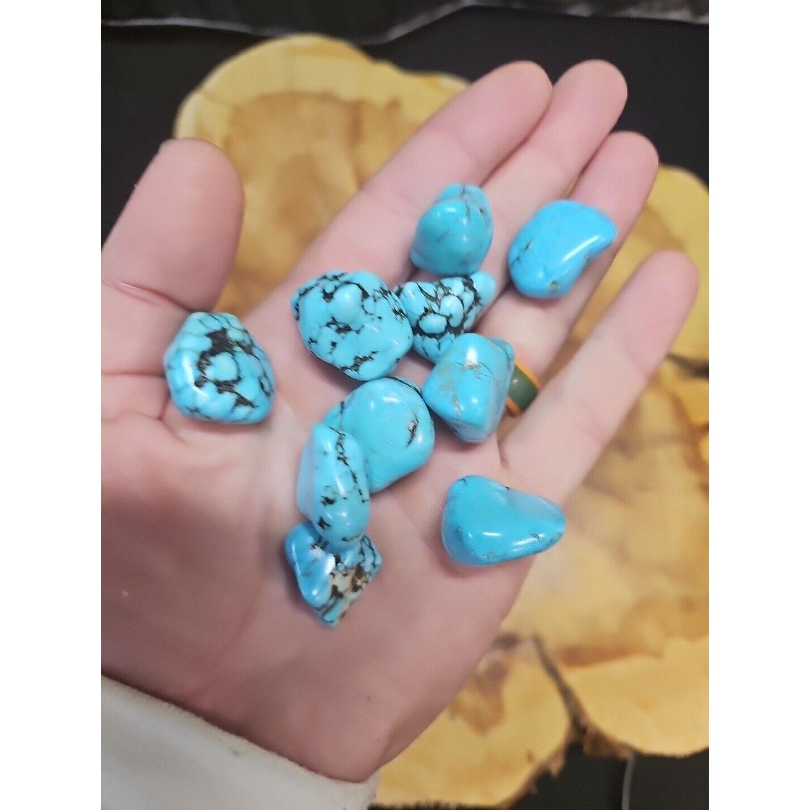 Turquoise Raw Polished Stone 76g-85g 10 Pcs