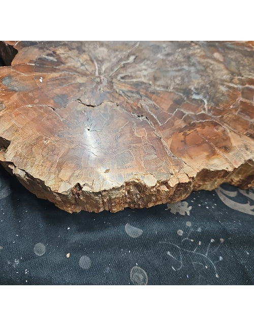 Load image into Gallery viewer, 27.3LB TOP Natural fossil wood Quartz carved Crystal mineral Specimen healing
