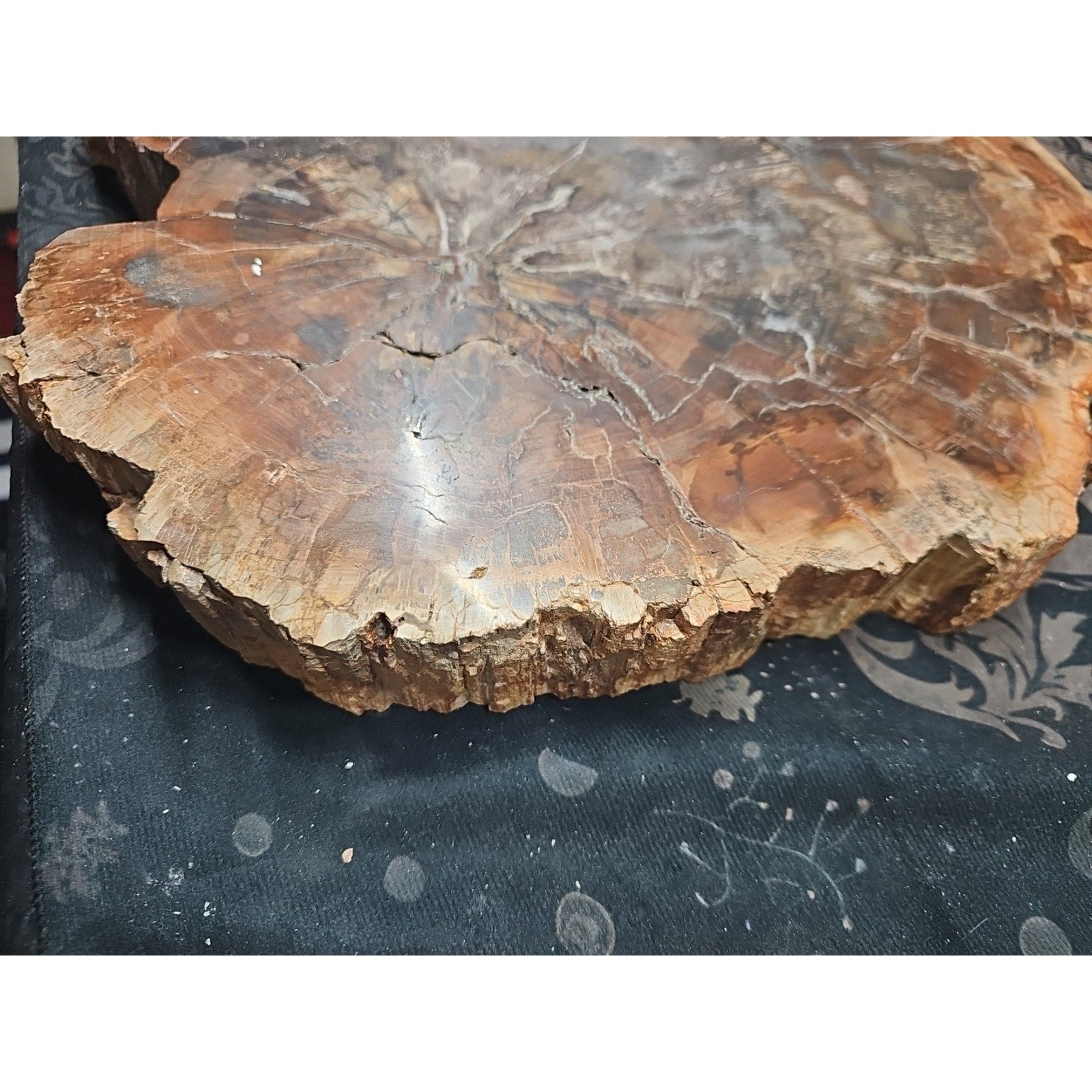 27.3LB TOP Natural fossil wood Quartz carved Crystal mineral Specimen healing