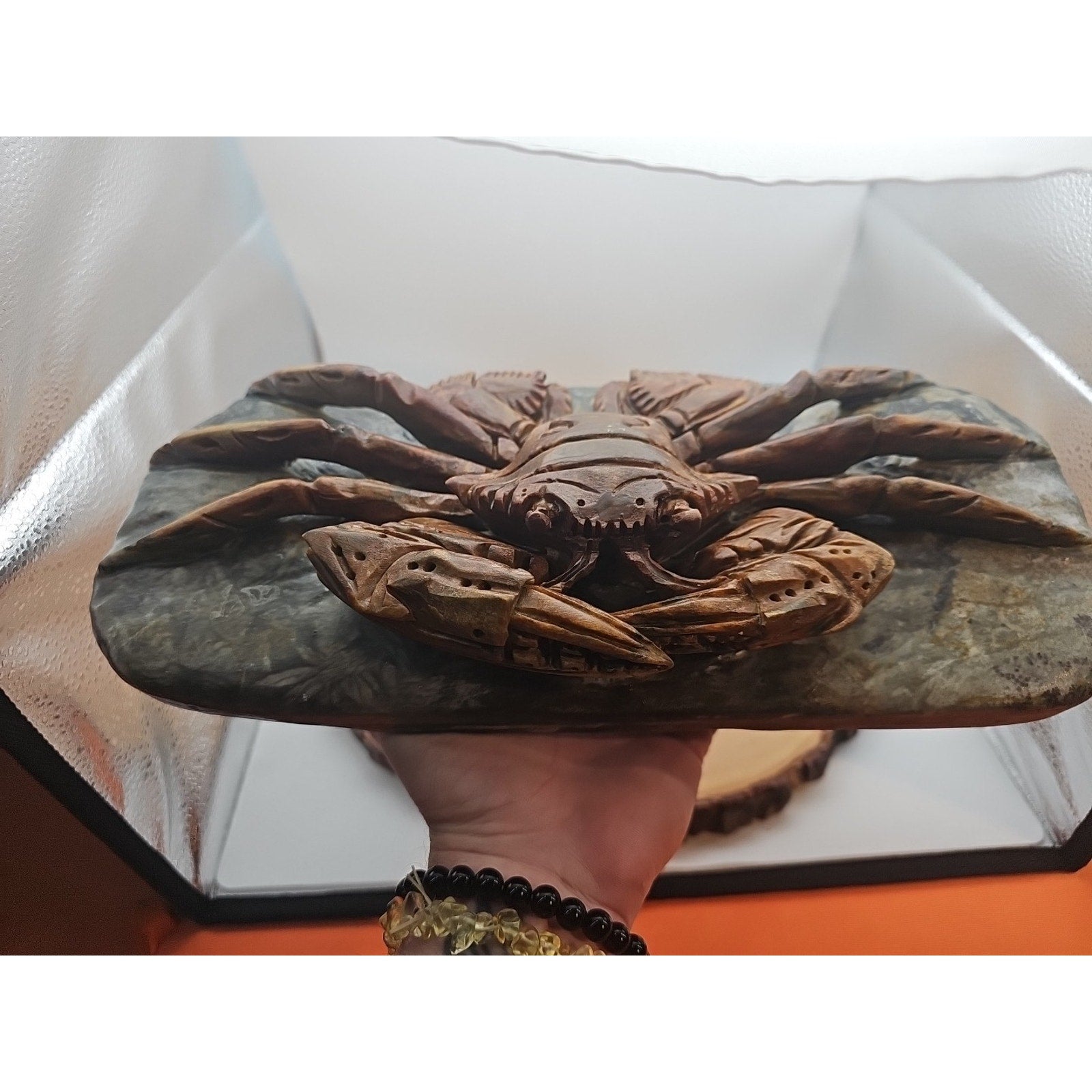 7.4LB Natural Mao Gong shi crab skull hand carved crystal specimen healing