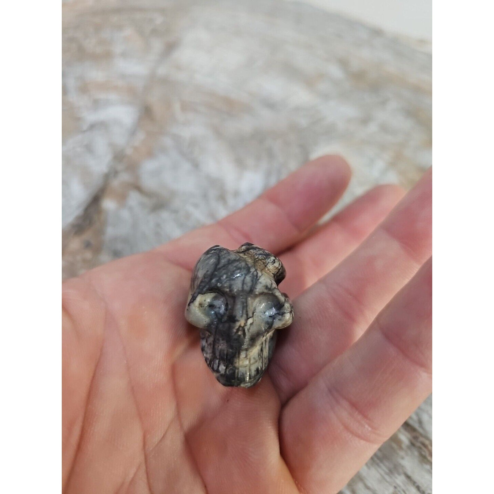 Natural Skull Lot of 5 Skulls: Spider Web Jaspers Fluorite Labrodite, Obsidian