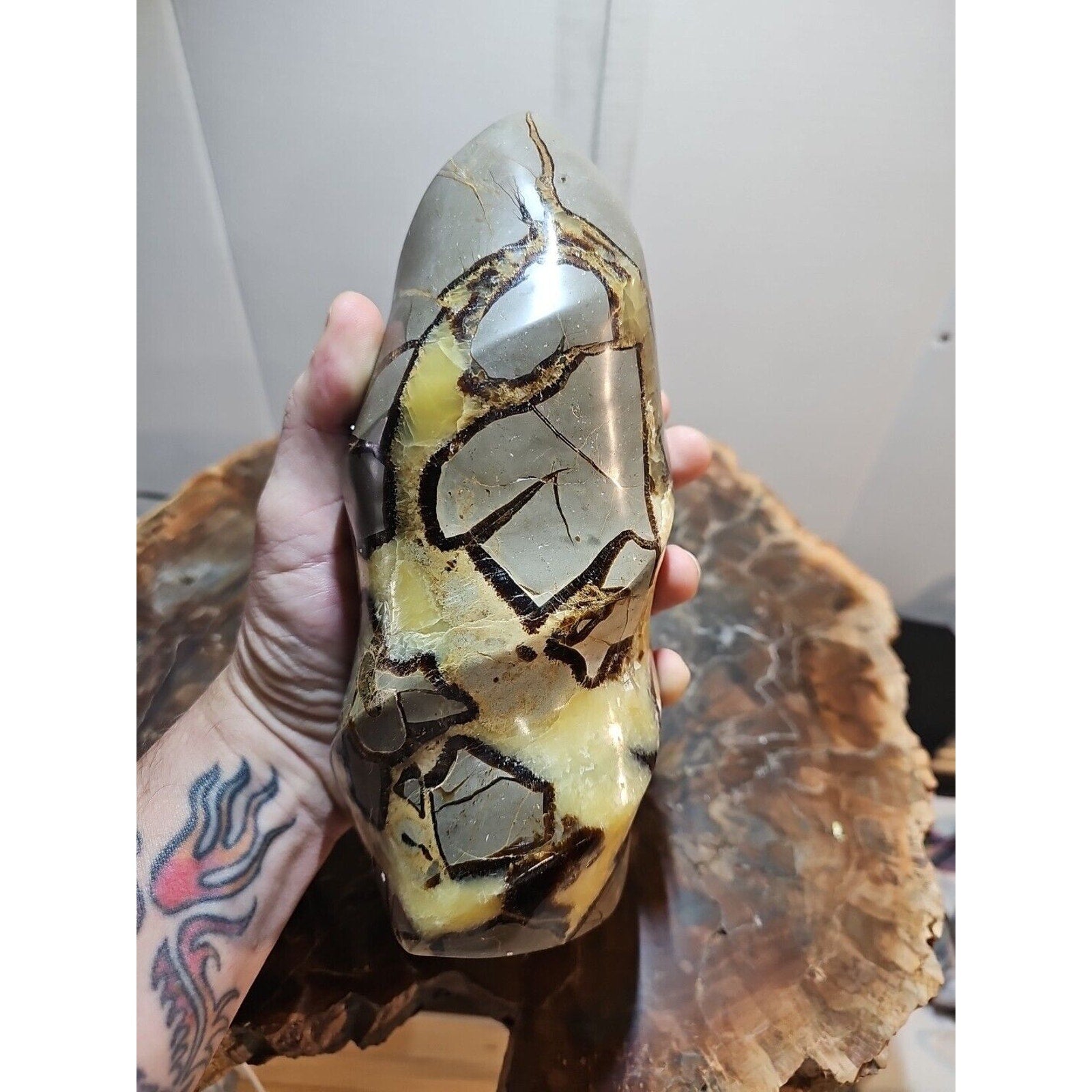 4.84LBNatural Dragon Septarian Geodetic Survey Quartz Crystal torch Healing2200g