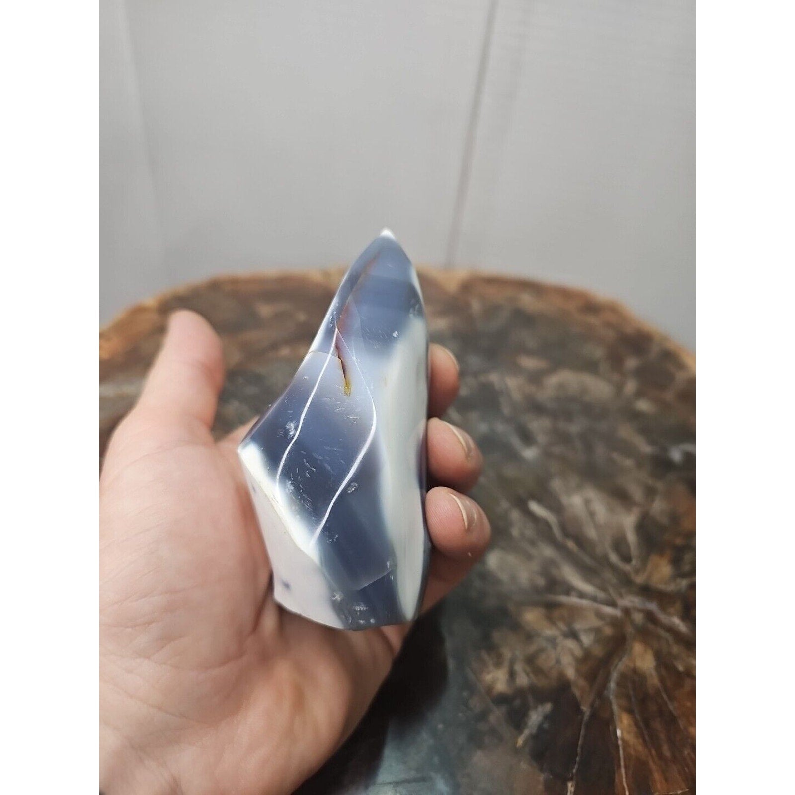 Jasper Ocean Whale Stone 332g